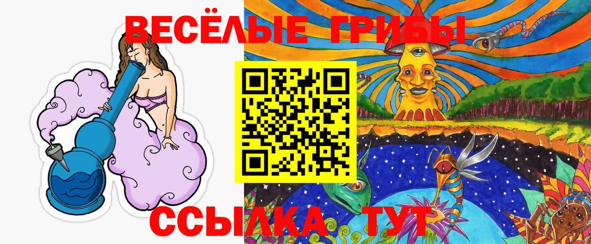 Псилоцибиновые грибы ЛСД Мелеуз