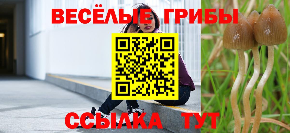 Псилоцибиновые грибы прущие грибы  Вход с VPN  где найти наркотики  Псилоцибиновые грибы GOLDEN TEACHER  Мелеуз 